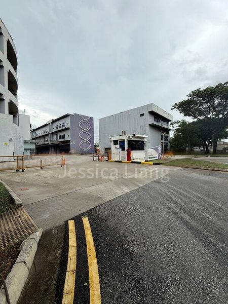 Factory / Workshop (B2) for Sale: B2 / 40-foot container accessible / Tuas South Ave 12 - Image 6