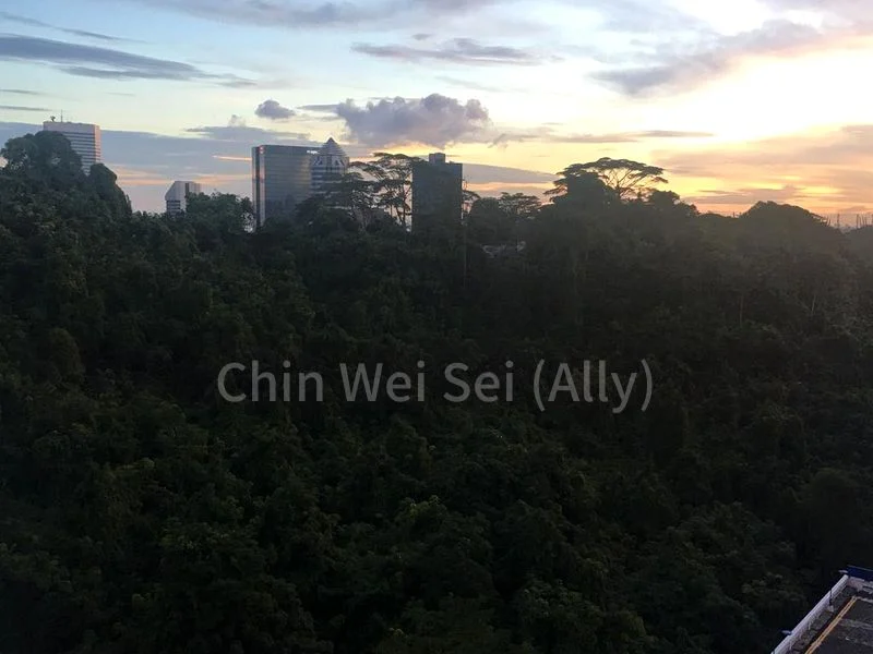 5 Room (5I) HDB for Rent in  111B Depot Road - Image 6