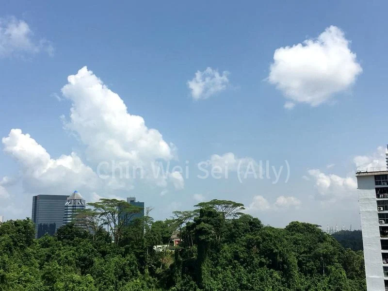 5 Room (5I) HDB for Rent in  111B Depot Road - Image 9