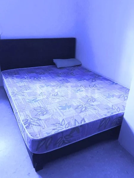 Common Room (HDB) for Rent in  244 Tampines Street 21 - Image 1