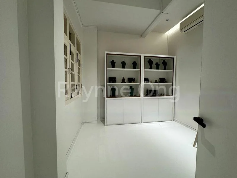 Shop / Shophouse for Rent: Duxton Road Shophouse - Image 2