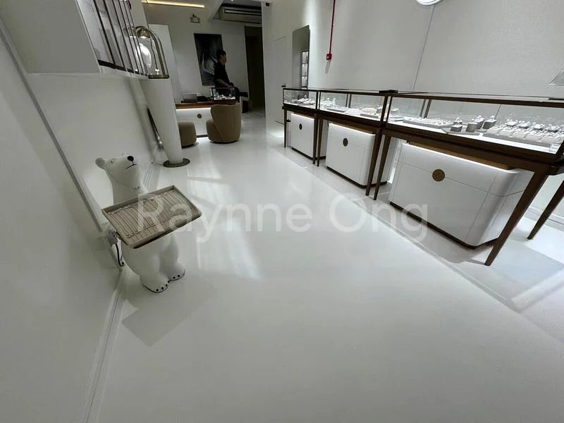 Shop / Shophouse for Rent: Duxton Road Shophouse - Image 4