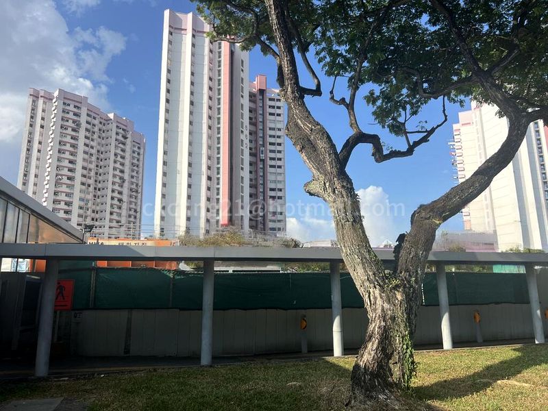 Shop / Shophouse for Rent: Mackenzie Road - Image 2