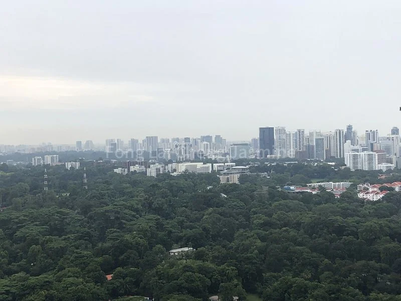 Room (Condo) for Rent in  Queens Peak - Image 14