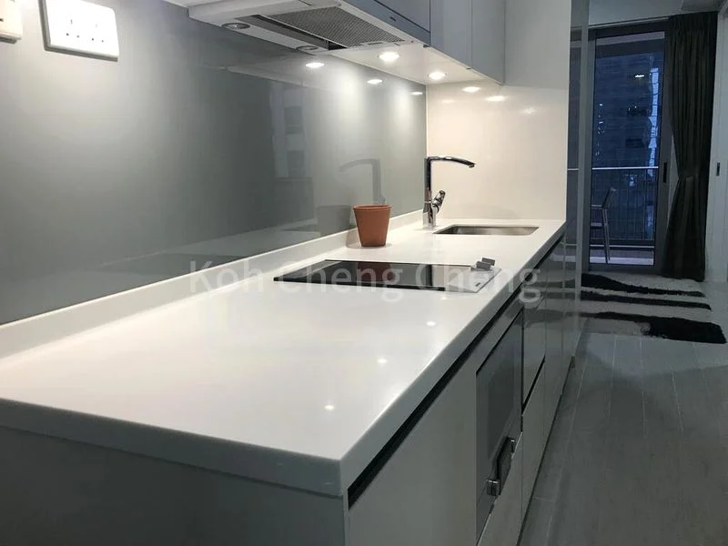 1 Bed Condo for Sale in  V On Shenton - Image 1