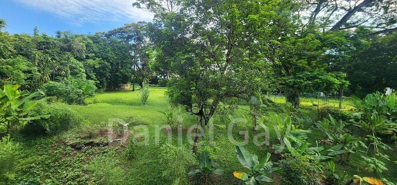 4 Bed Corner Terrace (Landed) for Sale in  Seletar Garden - Image 19