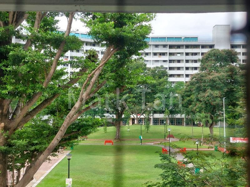 Master Room (HDB) for Rent in 551 Bedok North Avenue 1 - Image 7