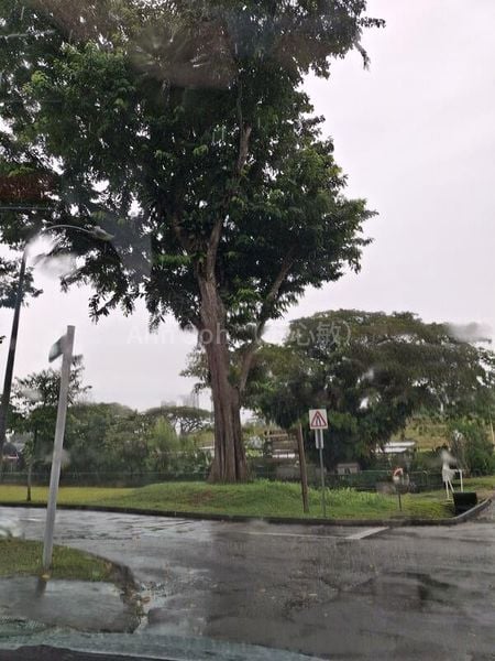 Light Industrial (B1) for Rent: Wave 9, 9 Pioneer Walk, Singapore 628534 - Image 2