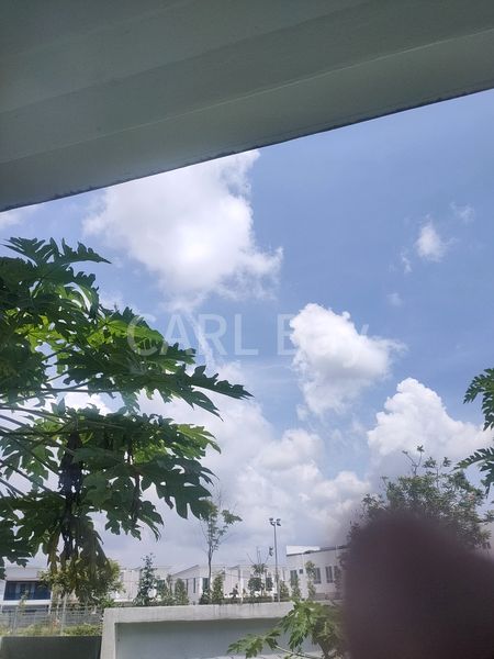 Shop / Shophouse for Sale: Toa Payoh HDB, Central, Near MRT for Rent - Image 3