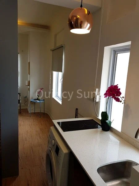 1 Bed Walk-up Apartment (Condo) for Rent in Tiong Bahru Estate - Image 13