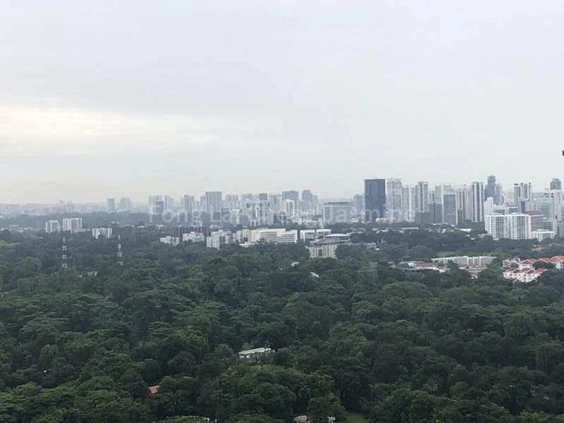 Room (Condo) for Rent in  Queens Peak - Image 1