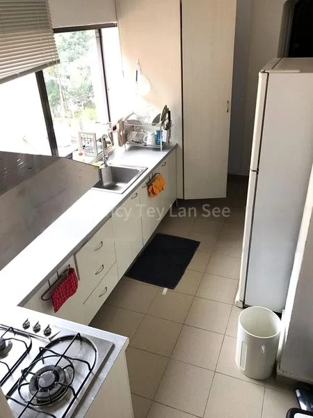 1 Bed Conservation House (Landed) for Rent in  Blair Plain Conservation Area - Image 4