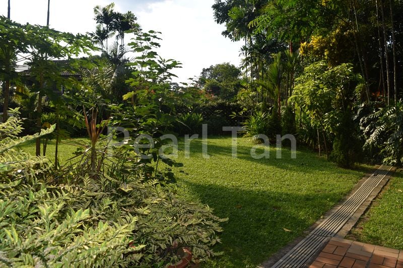 5 Bed Bungalow (Landed) for Sale in Ewart Park - Image 8