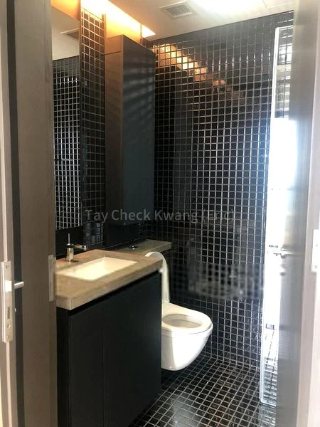 1 Bed Condo for Rent in  Skysuites @ Anson - Image 15