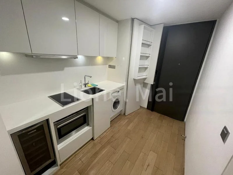 1 Bed Condo for Rent in  Skysuites @ Anson - Image 3