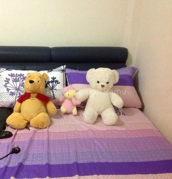 Executive HDB for Rent in 534 Serangoon North Avenue 4 - Image 2