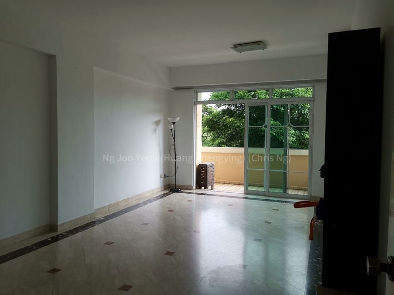 Ng Joo Yeow(Huang Zhengying) (Chris Ng)